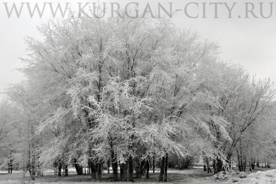 ��������: ��������� �����������!