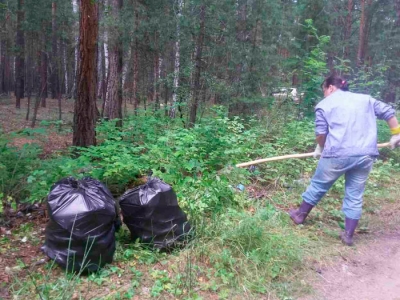 ����� ���� �� ������ �����