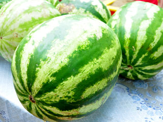   �������� �������� ����� ������  