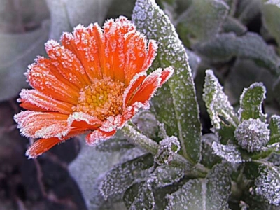 ��������: ���������!