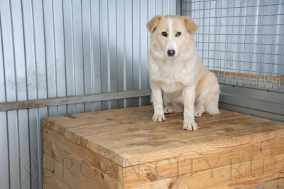 �������� ���� �����. ������ ������� � ������� �� ���� �������� ����� �������� �� �������������� ������