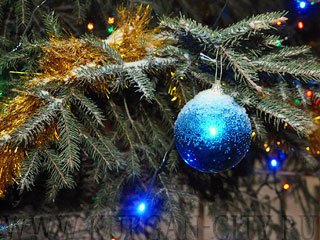 DSC_0172.jpg DSC_0172.jpg