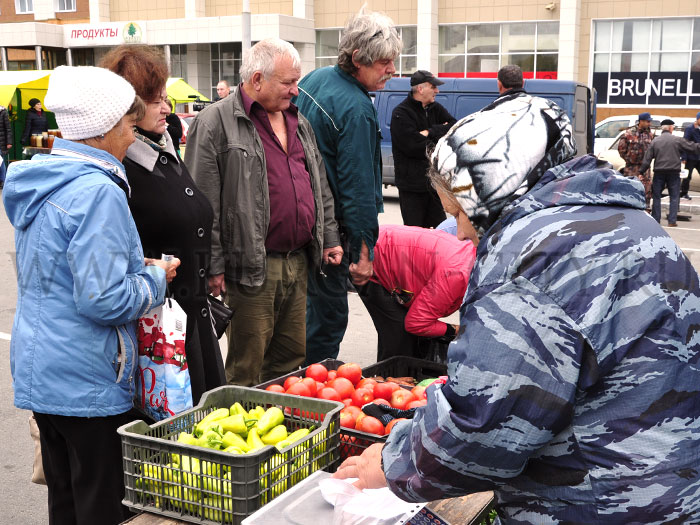 Ярмарка курган. Центральный рынок курган. Узбекская ярмарка в кургане. Ярмарка. Сельскохозяйственные ярмарки курган.