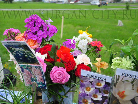 Фестиваль цветов Фестиваль цветов