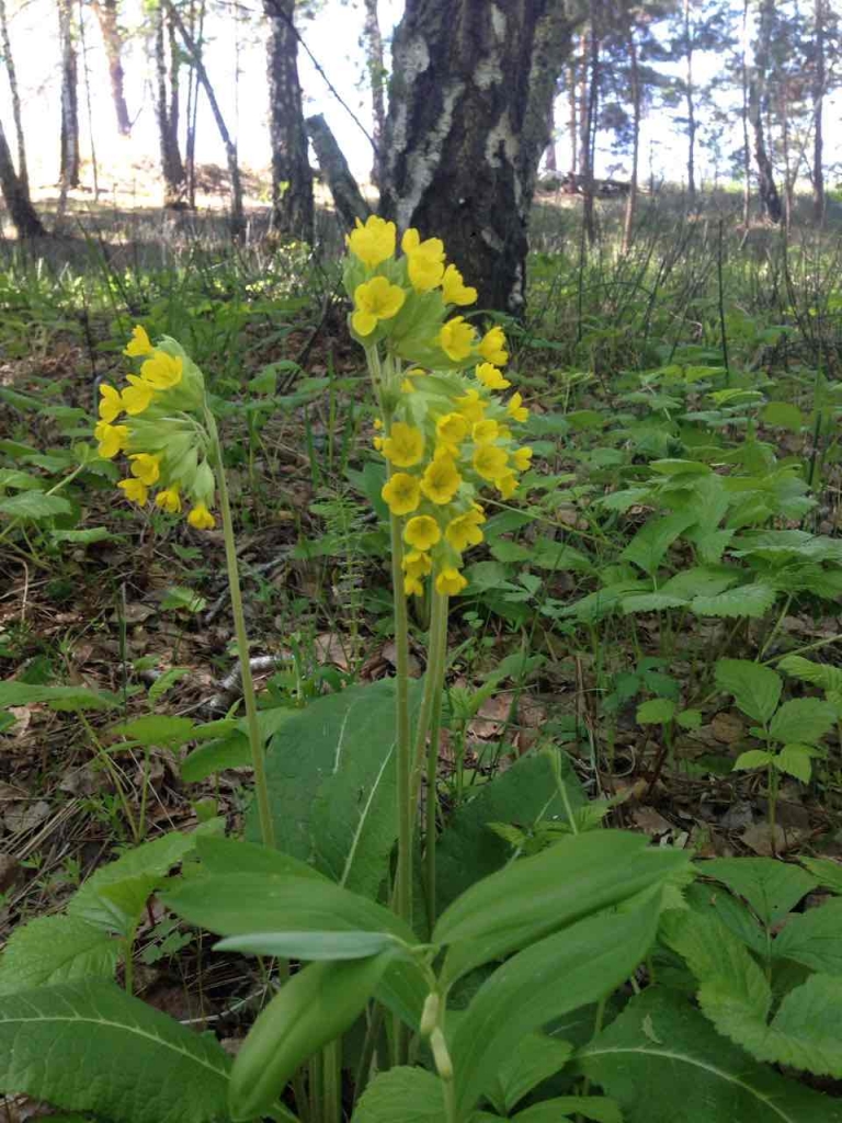 IMG-f8ab084edc4c74afdf26681287dad48c-V.jpg IMG-f8ab084edc4c74afdf26681287dad48c-V.jpg