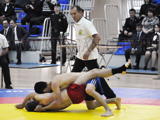 DSC_0242.jpg DSC_0242.jpg